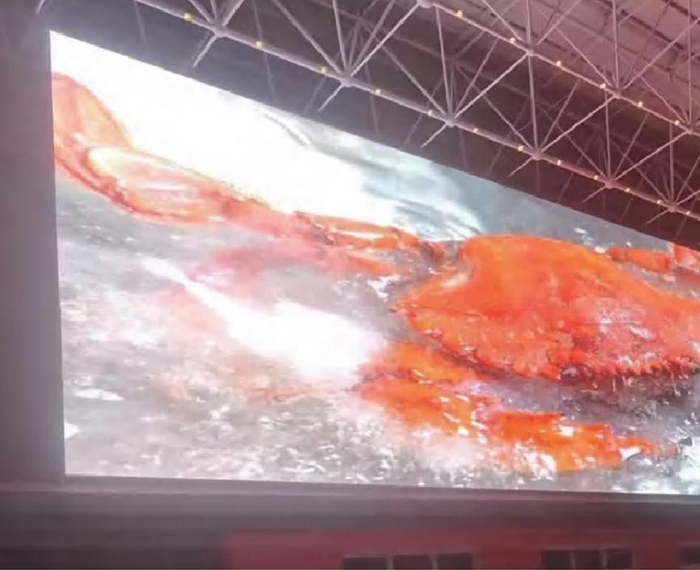 Kashgar International Convention & Exhibition Center Case