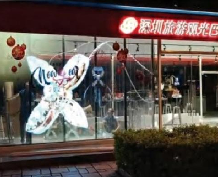 Shenzhen Window of the World Case