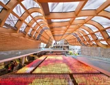XMOZU AIOT · The Milan World Expo Ears of Wheat Screen